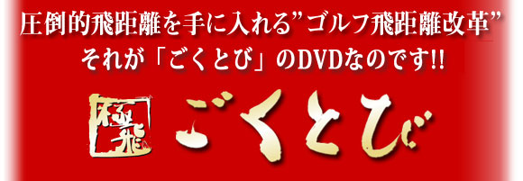 ���|�I�򋗗�����ɓ����g�S���t�򋗗����v�h ���ꂪ�u�����Ƃсv�v���W�F�N�g��DVD�Ȃ̂ł��I�I